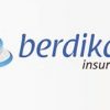 PT. Berdikari Insurance